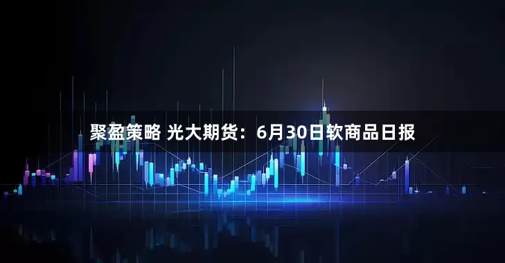 聚盈策略 光大期货：6月30日软商品日报