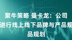 聚牛策略 曼卡龙：公司已进行线上线下品牌与产品规划