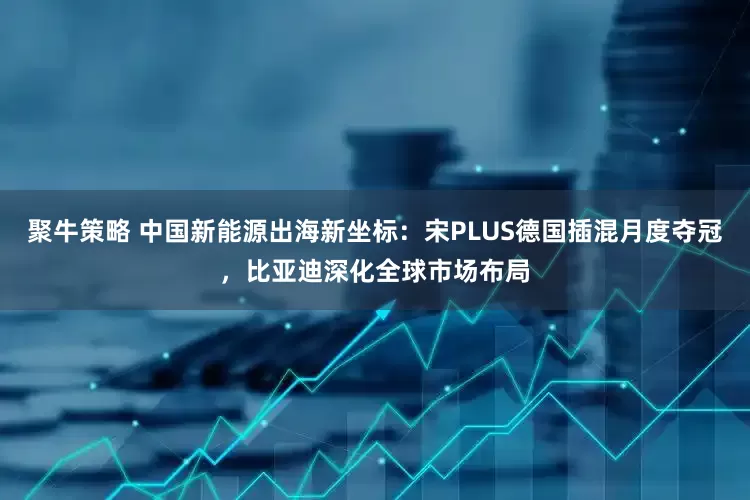 聚牛策略 中国新能源出海新坐标:宋PLUS德国插混月度夺冠,比亚迪深化全球市场布局