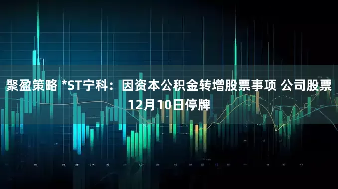 聚盈策略 *ST宁科:因资本公积金转增股票事项 公司股票12月10日停牌